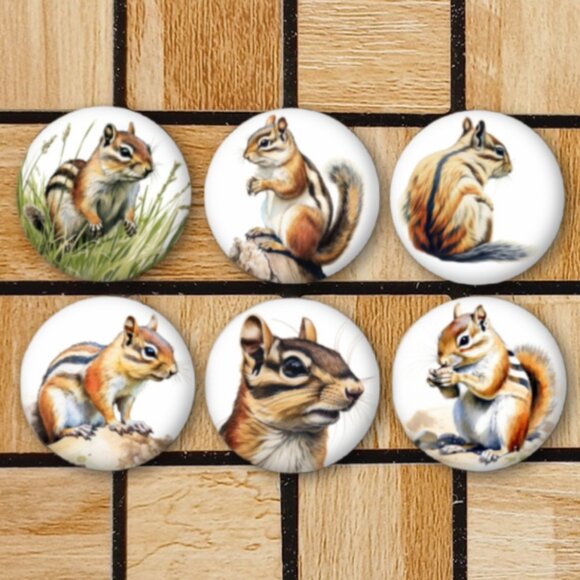 Chipmunk Fridge Magnets Set Of 6 Metal Magnets For Home Office Kitchen School - Picture 1 of 6